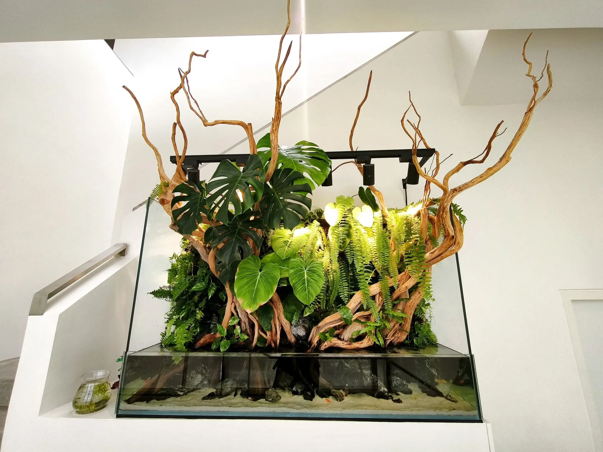 prohobby paludarium