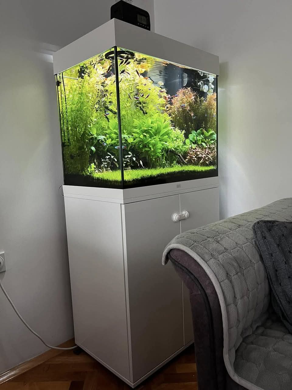 plug and play aquarium with cabinet