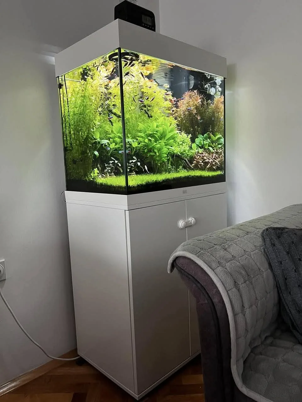 plug and play aquarium with cabinet