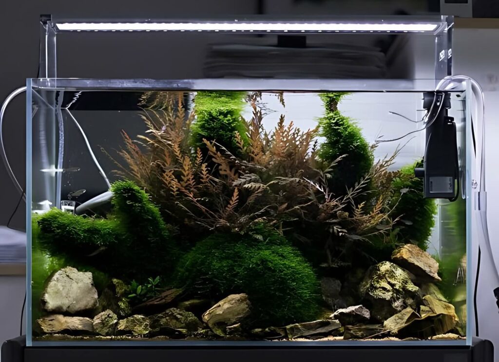 150L planted tank