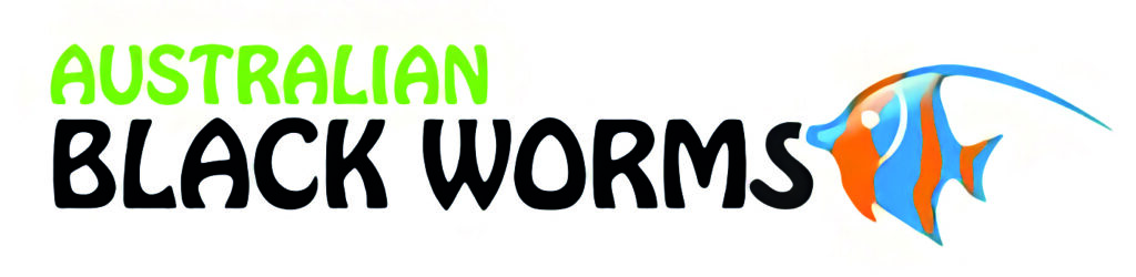 australian blackworms australian blackworms