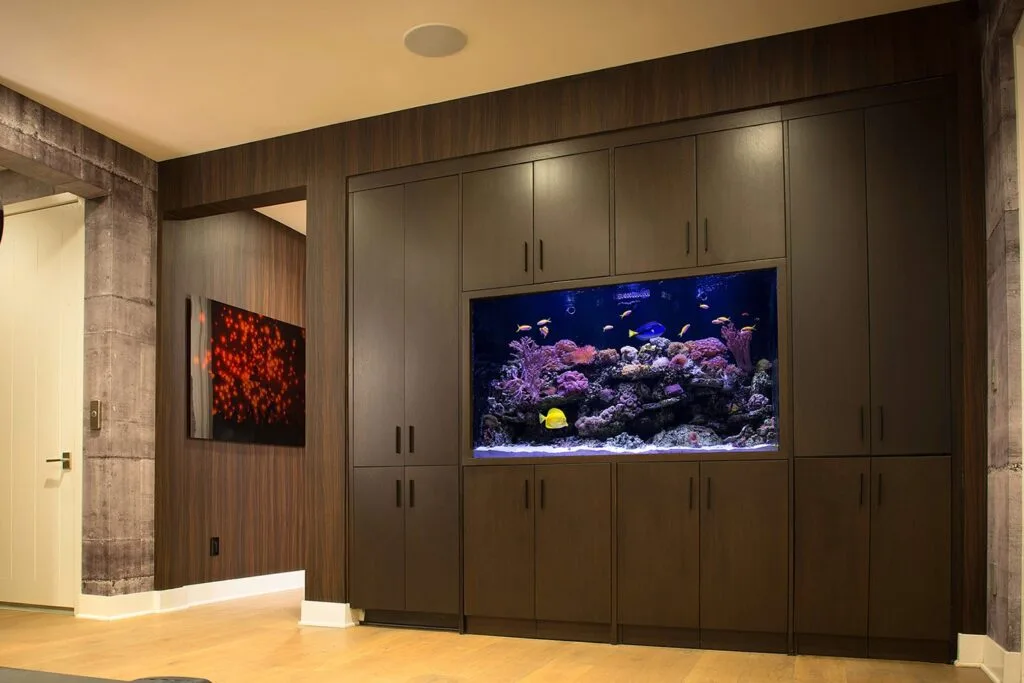 aquarium feature wall
