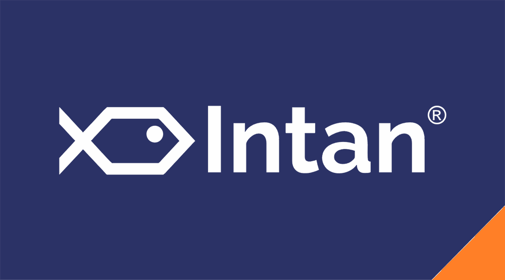 intan intan