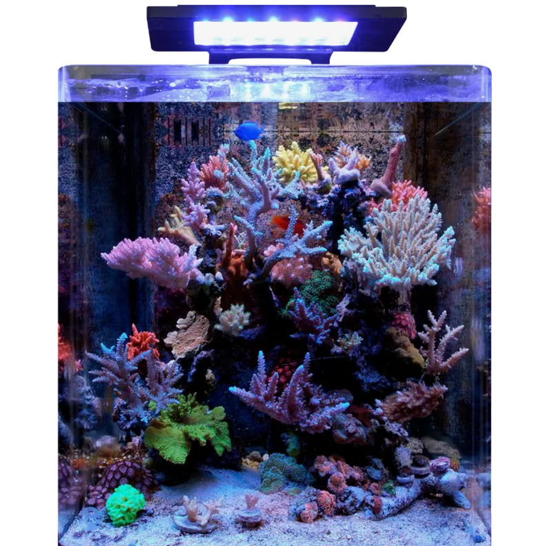 nano marine reef