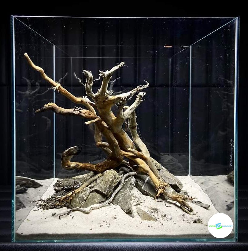 prohobby driftwood & stone cube
