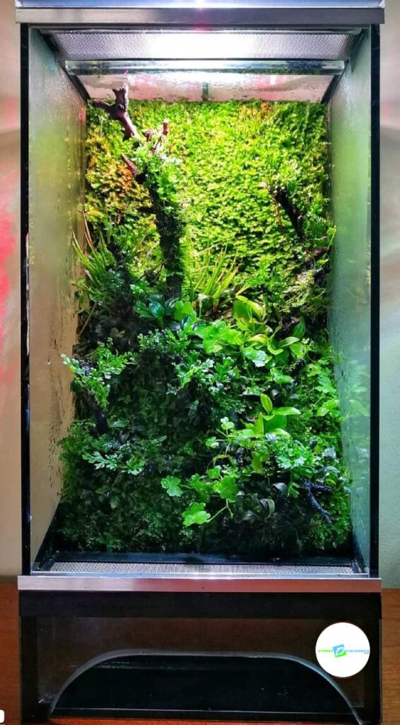 prohobby large terrarium