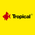 tropical tropical