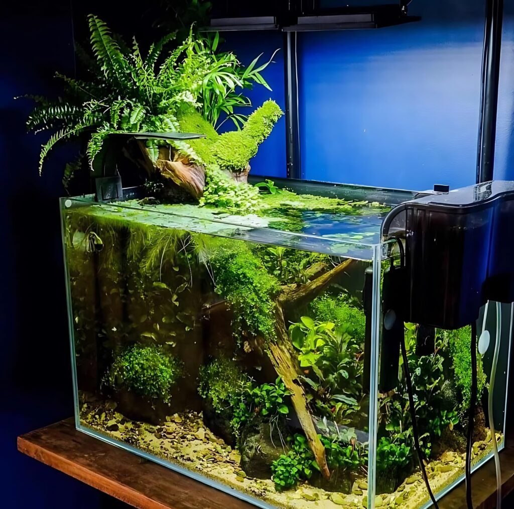 underwater jungle prohobby