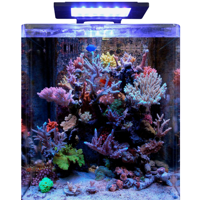 nano marine reef