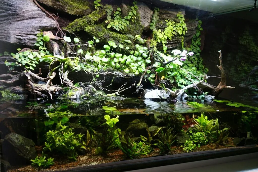 prohobby hybrid ecosystem riparium