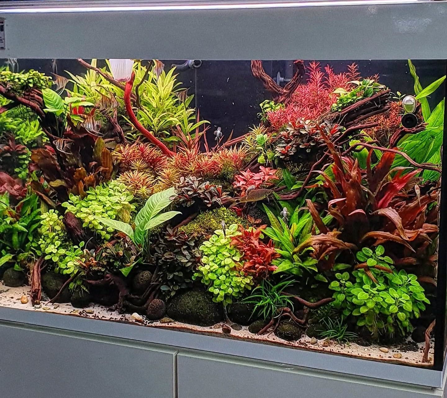 residence time in aquariums