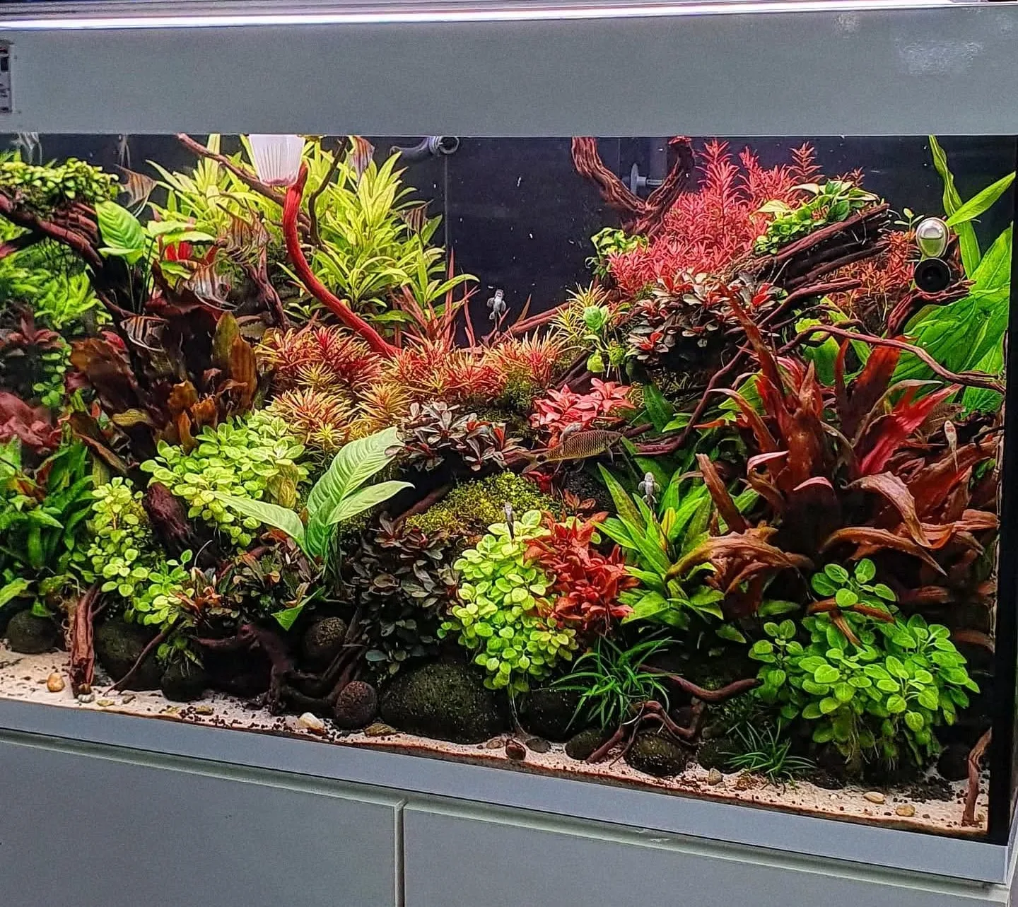 residence time in aquariums