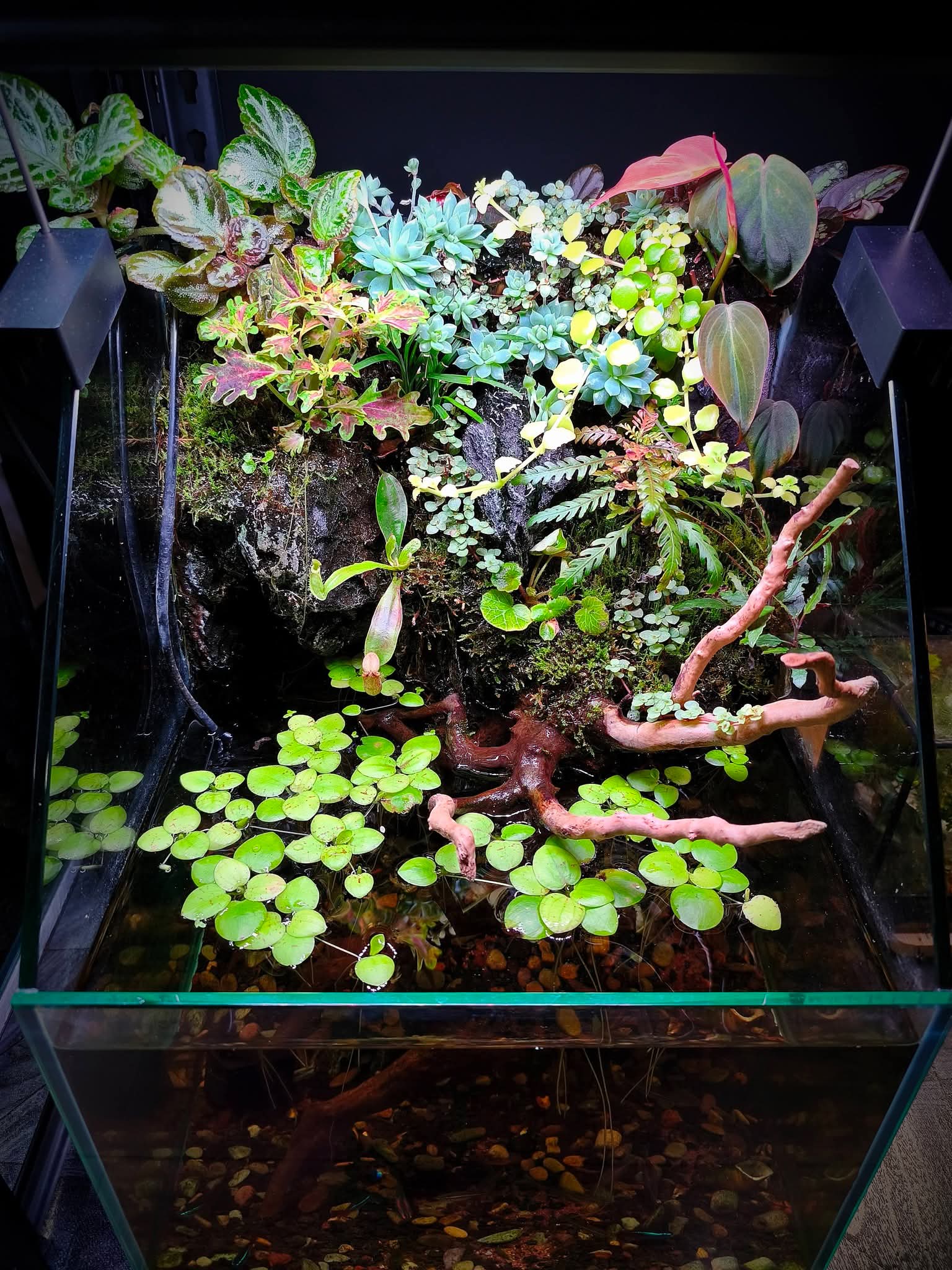 aquarium water flow science