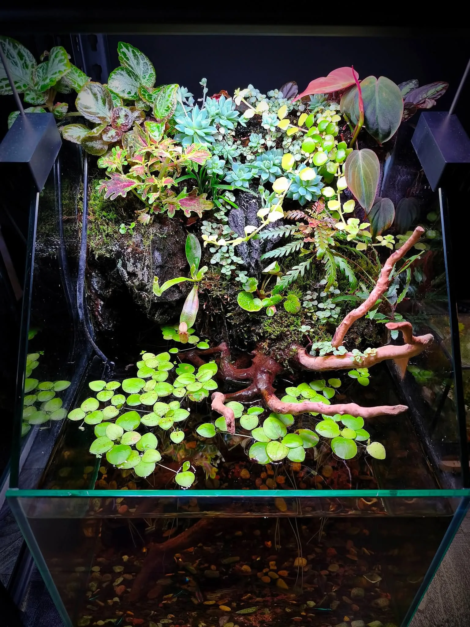 aquarium water flow science