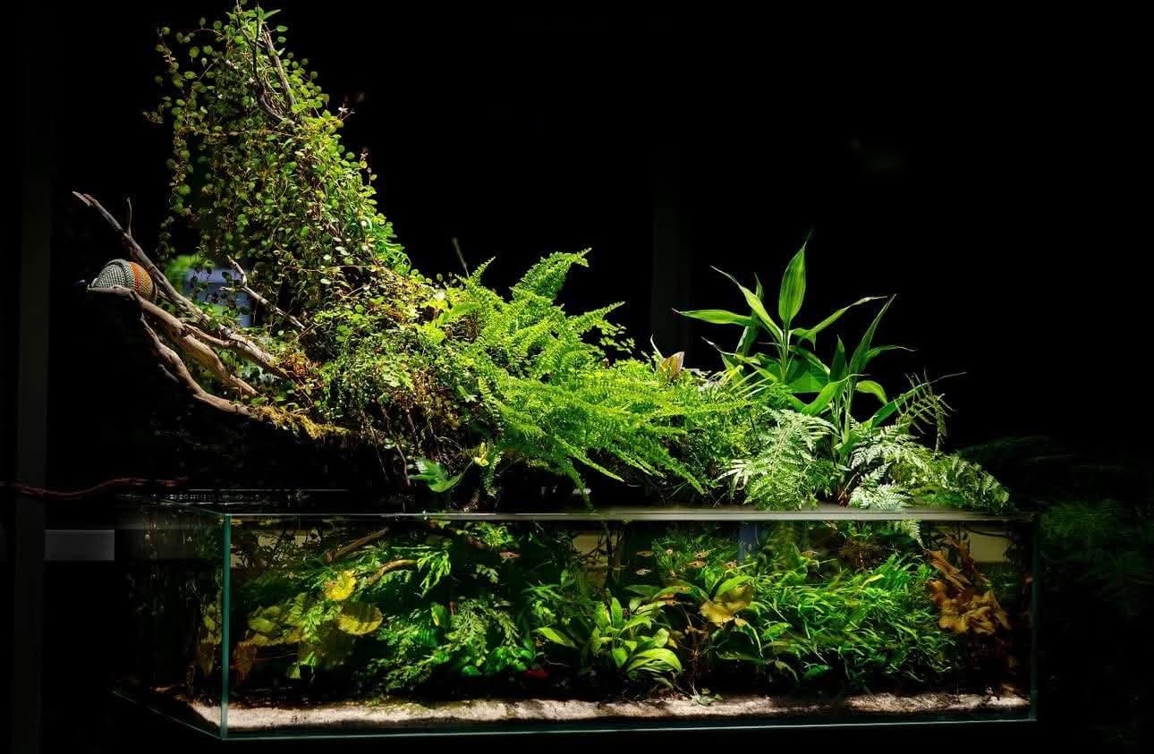 hybrid aquarium ecosystem showing aquatic and terrestrial habitat integration with emergent plants and natural gradient design.