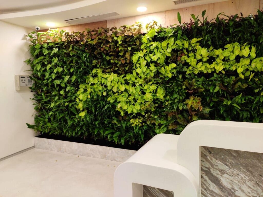 living greenwall by prohobby delhi ncr