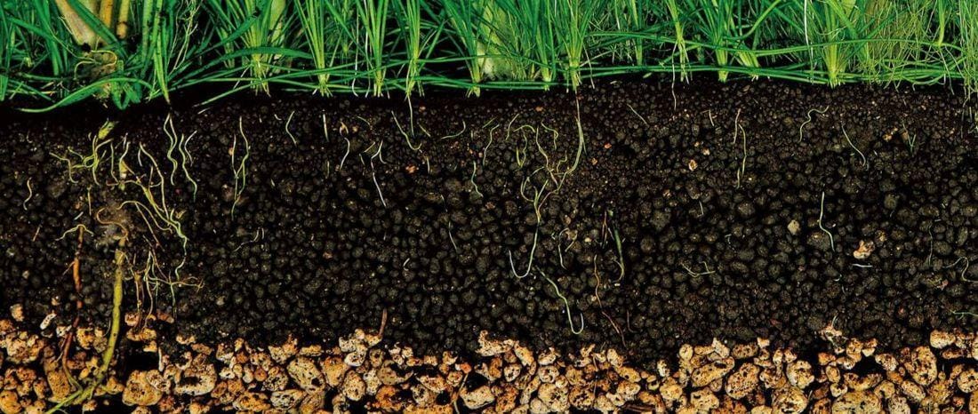 Aquarium substrate types showing aquasoil sand and gravel in planted tank Delhi NCR conditions