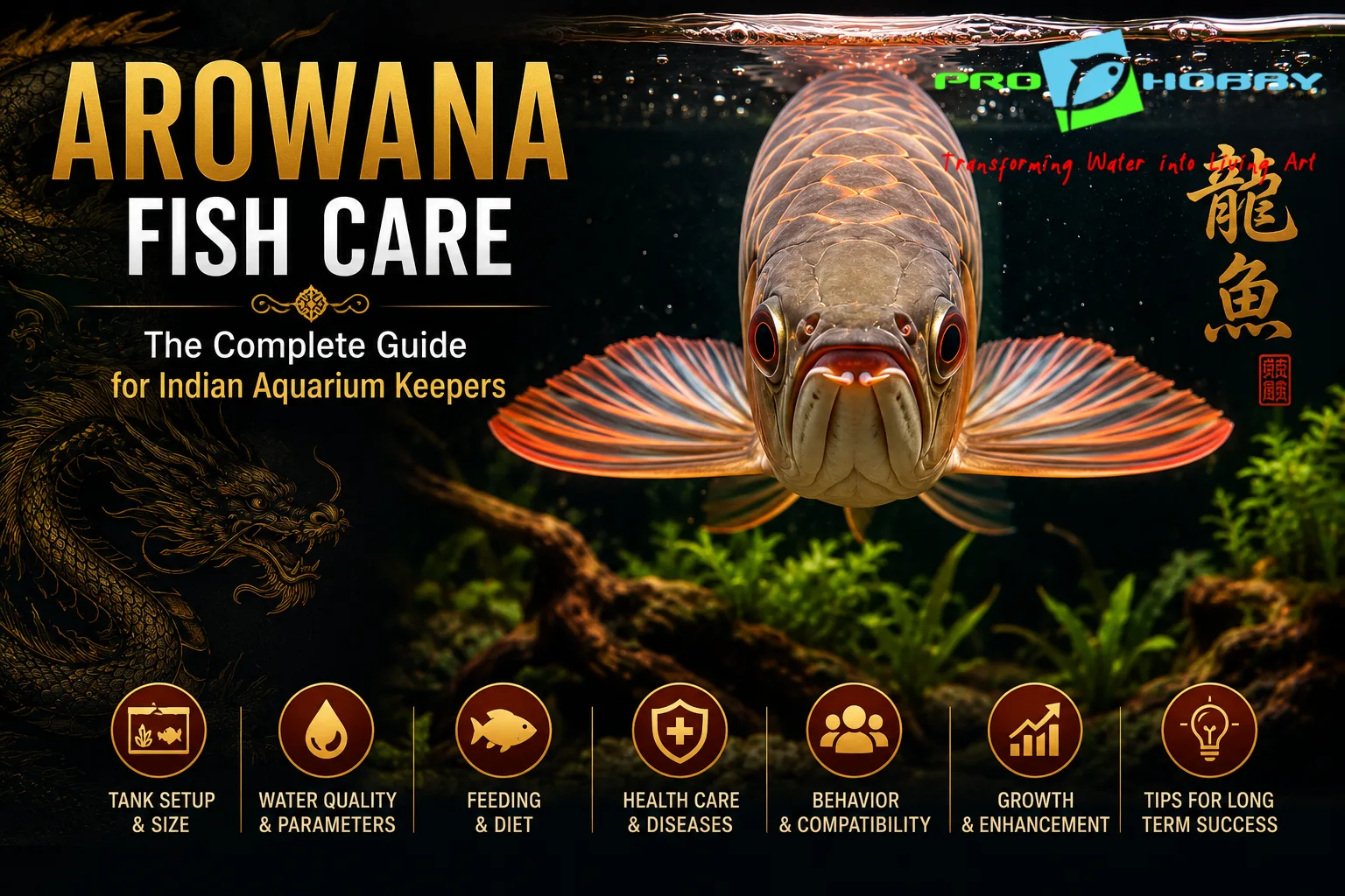 Arowana Fish Care The Complete Guide