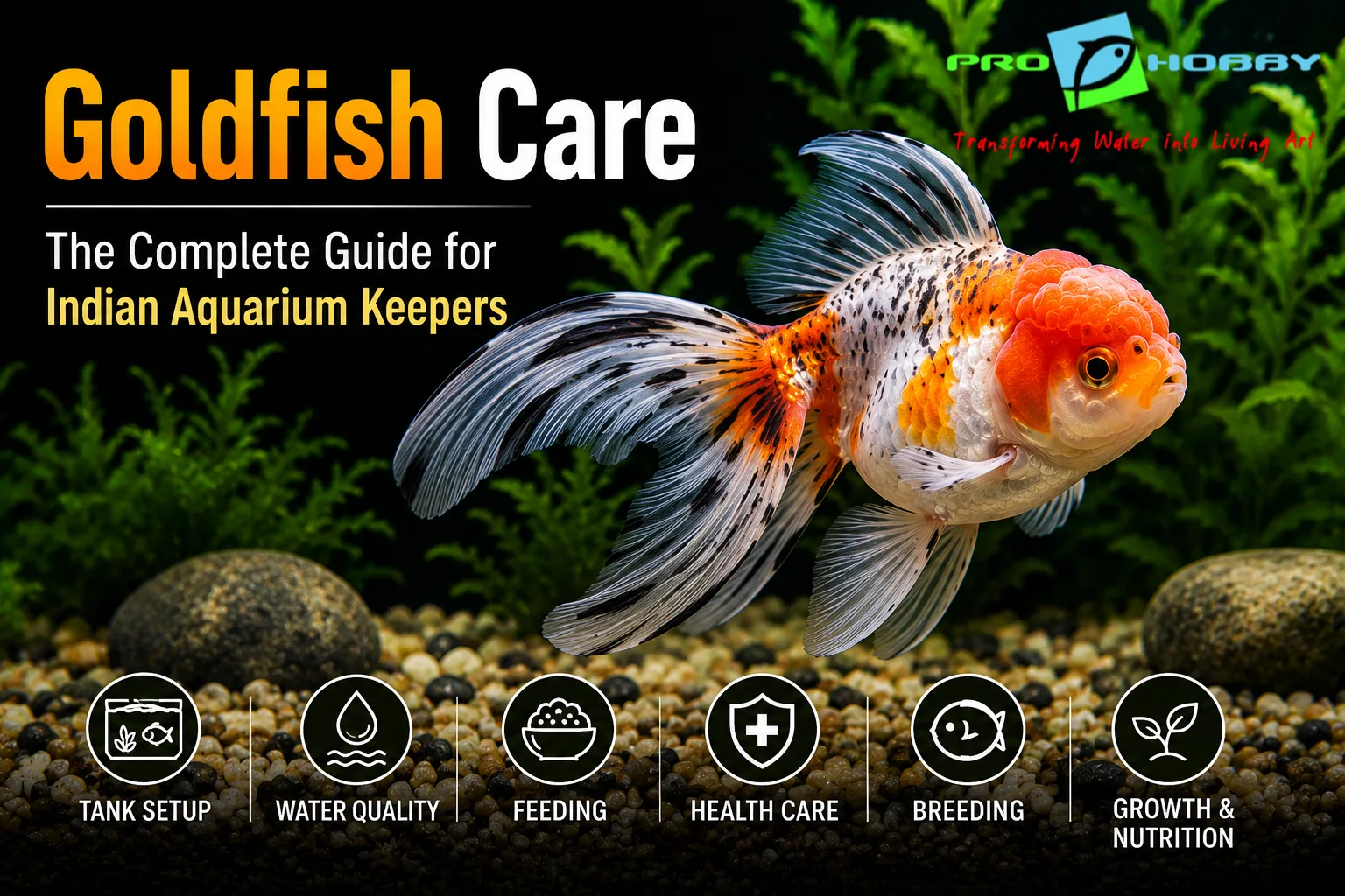 Goldfish Care — The Complete Guide for Indian Aquarium Keepers
