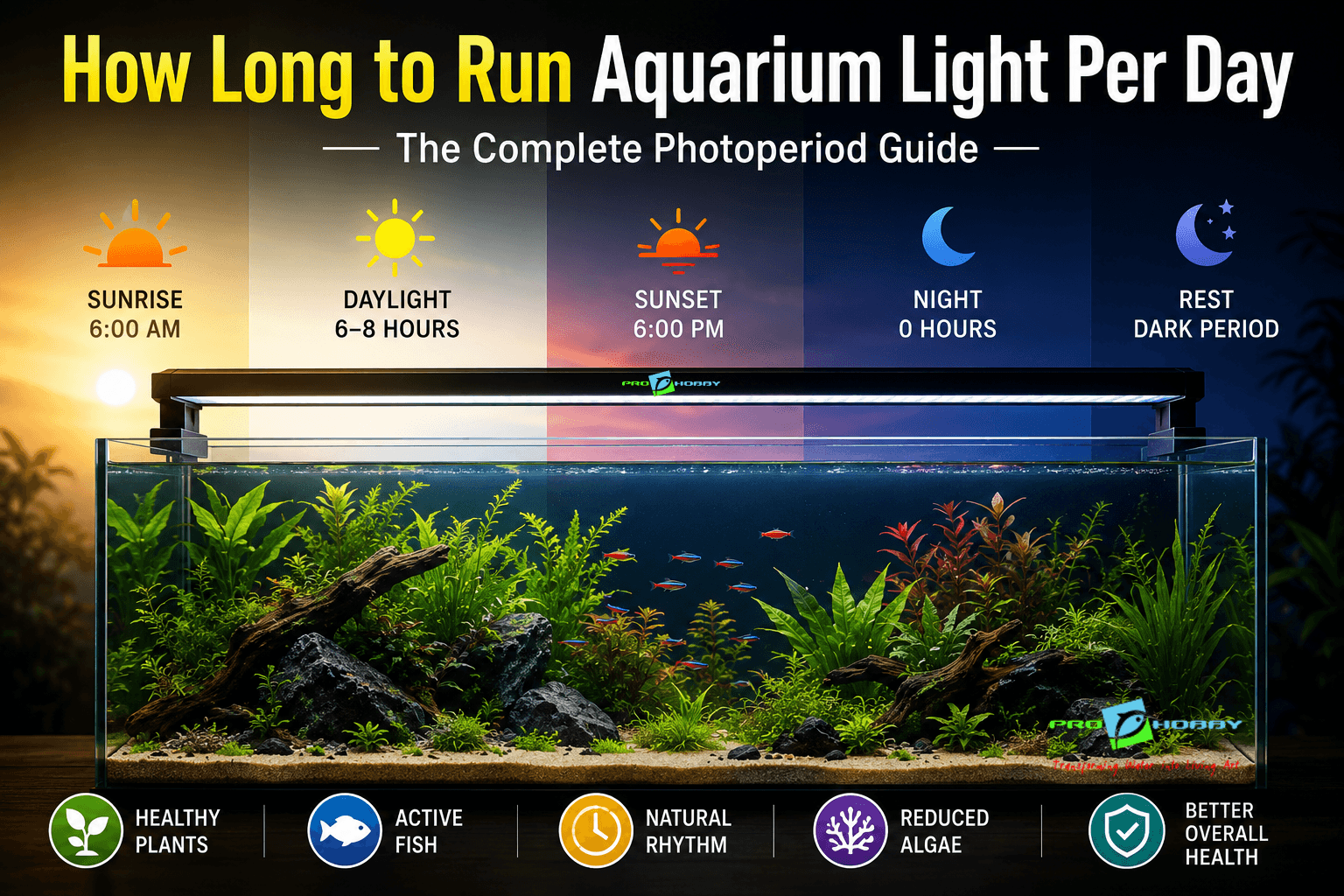 How Long to Run Aquarium Light Per Day