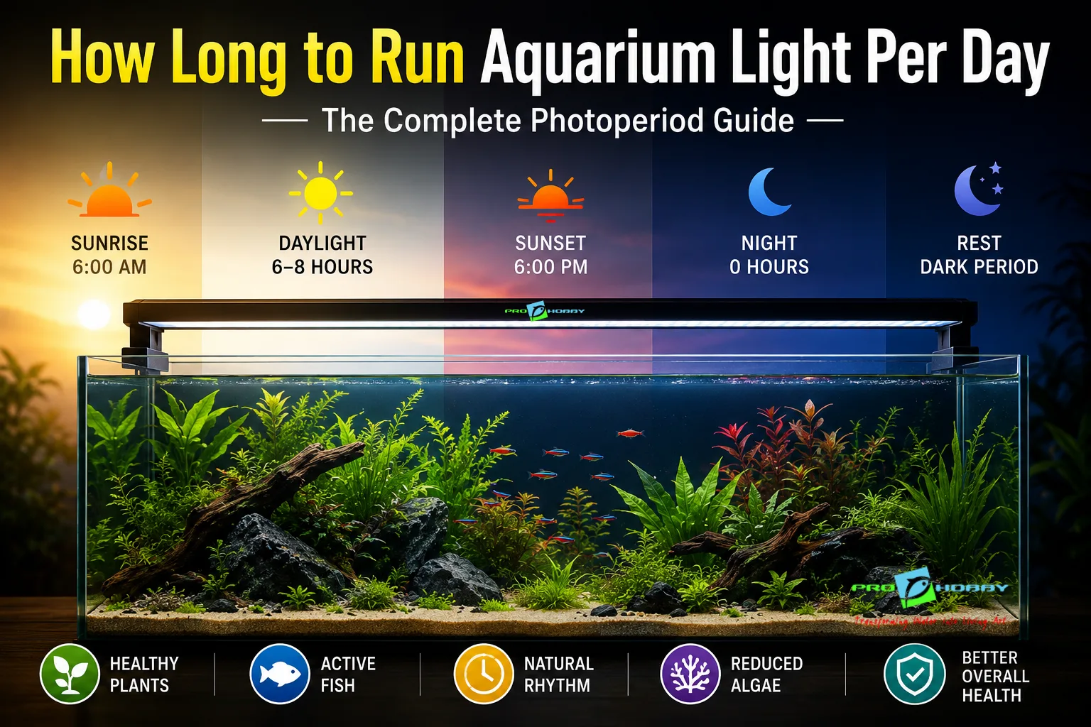 How Long to Run Aquarium Light Per Day