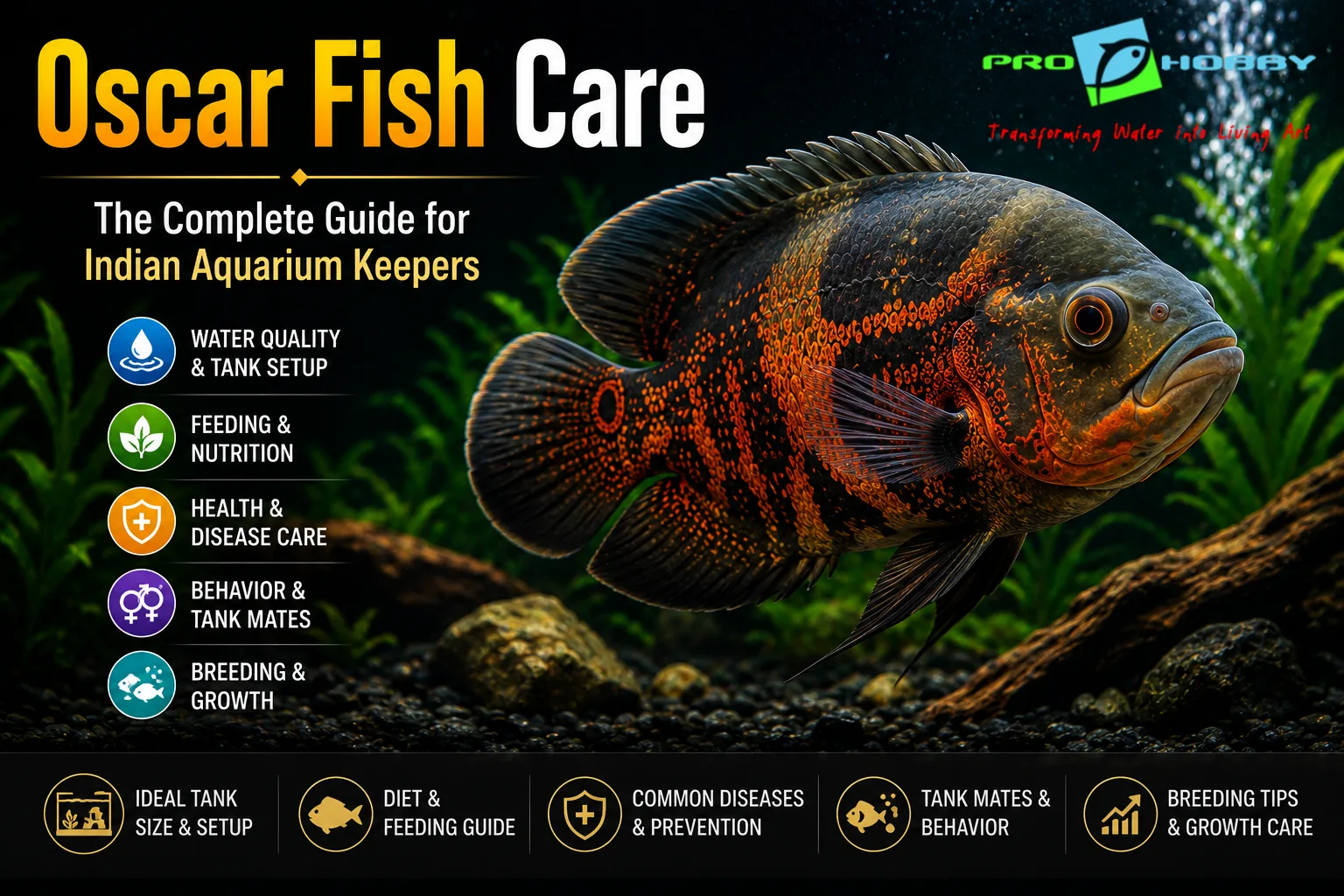 Oscar Fish Care