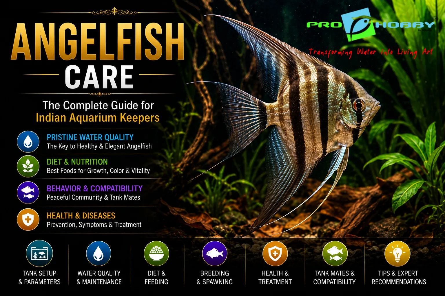 Angelfish Care — Tank Height, Planted Tank, Breeding and Tank Mates India Guide