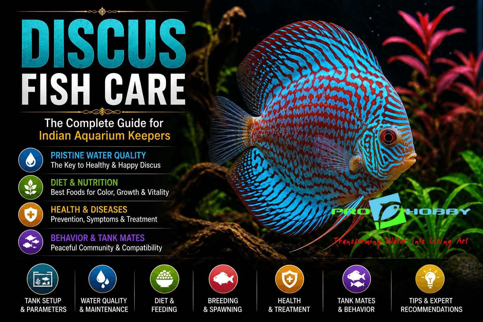 discus fish care complete guide