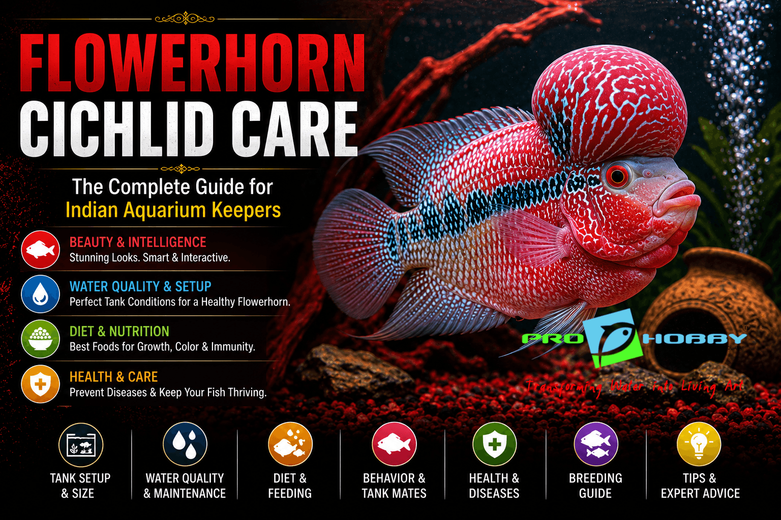 flowerhorn cichlid care complete guide