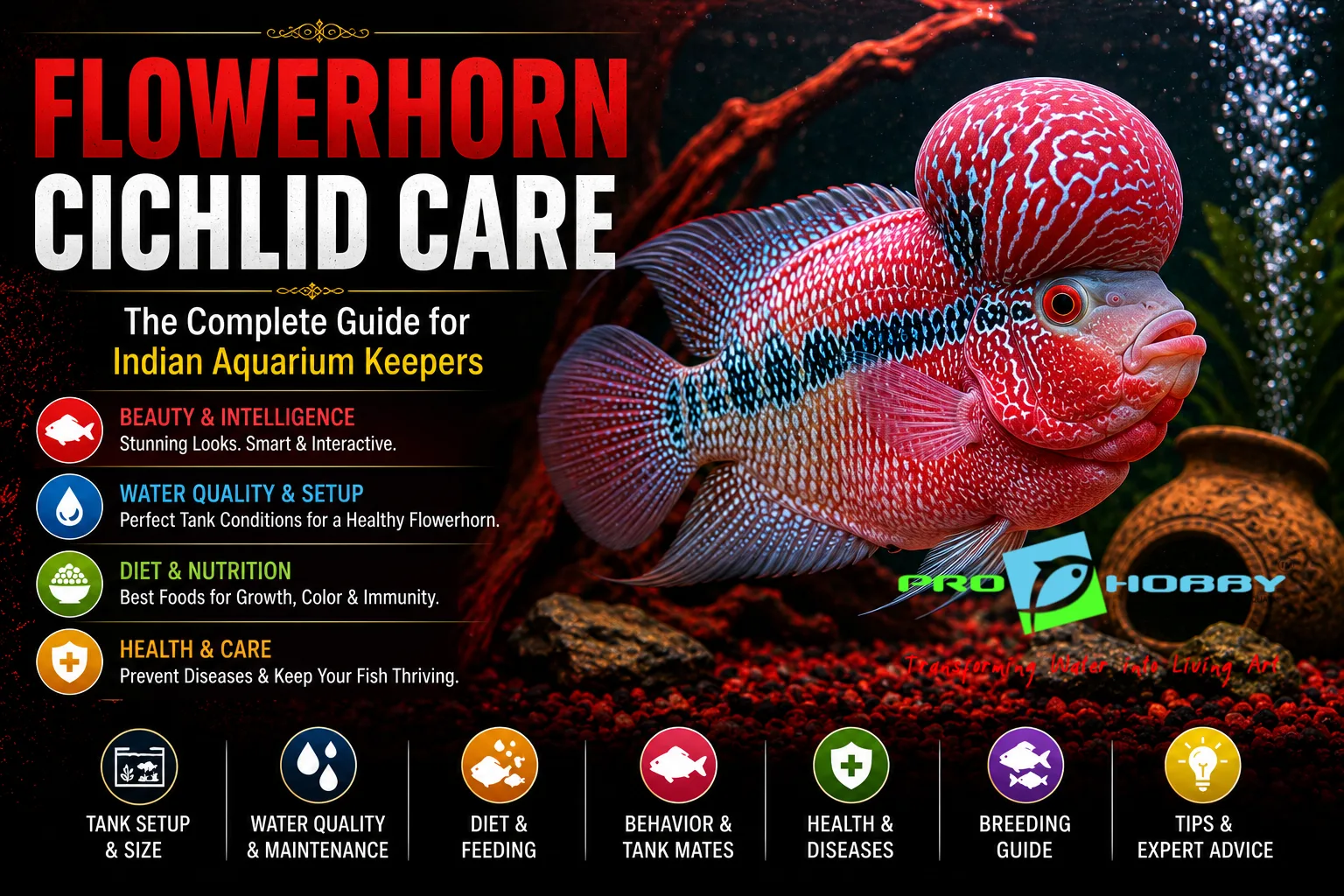 flowerhorn cichlid care complete guide