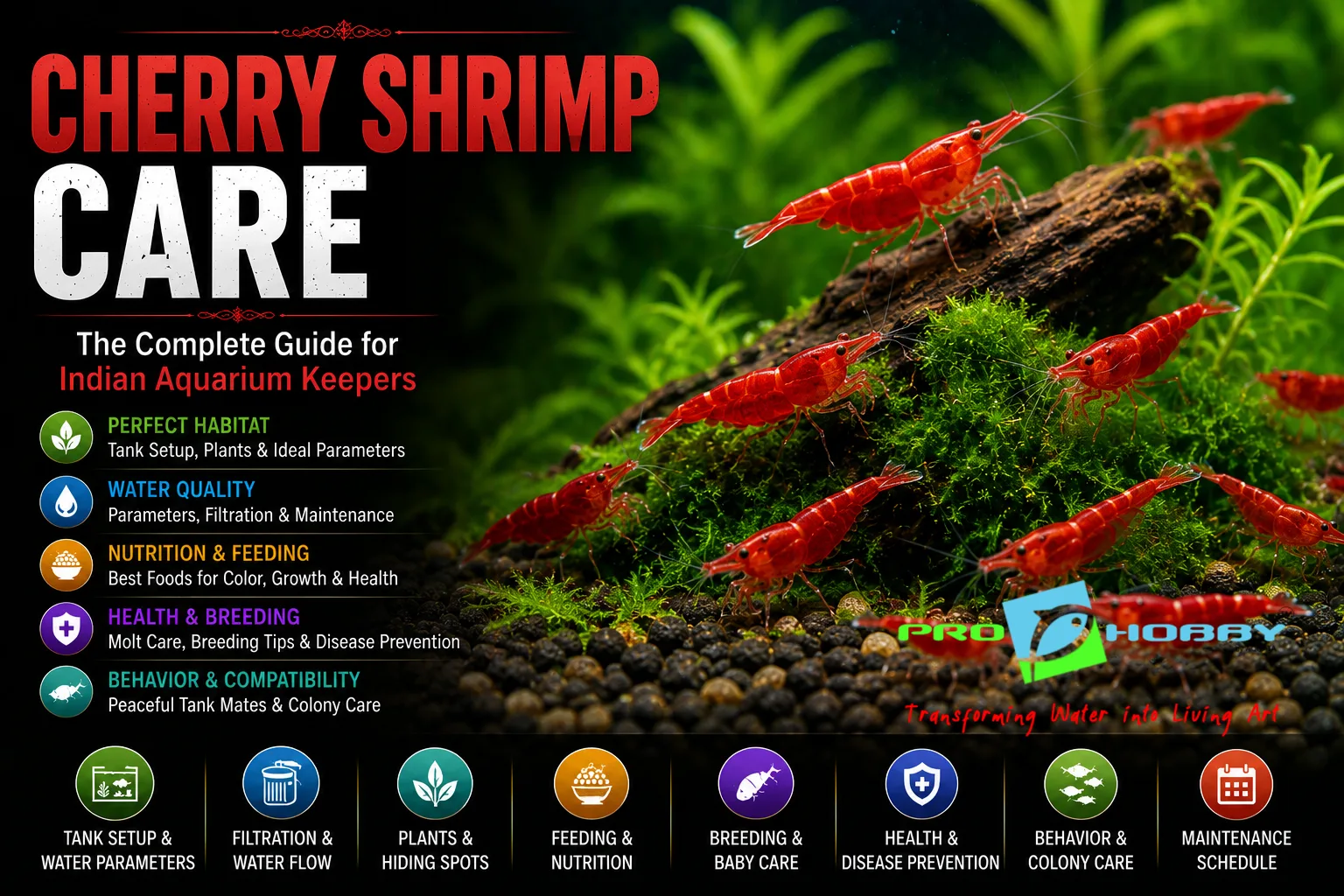 neocardinia shrimp care india