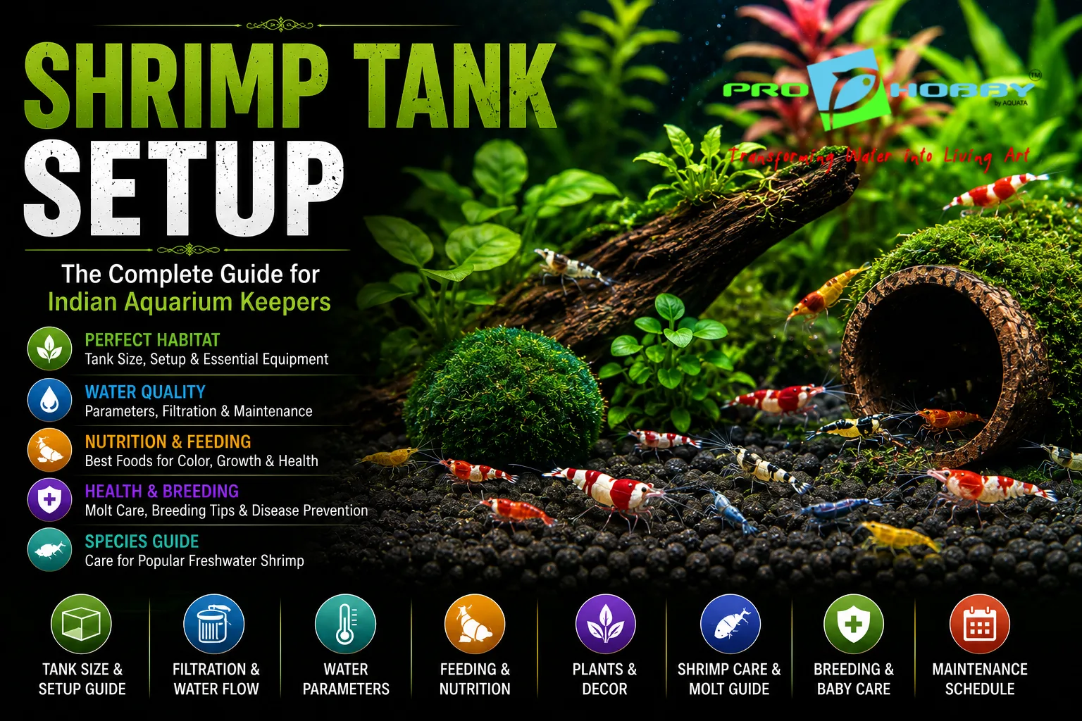 shrimp tank setup complete guide india
